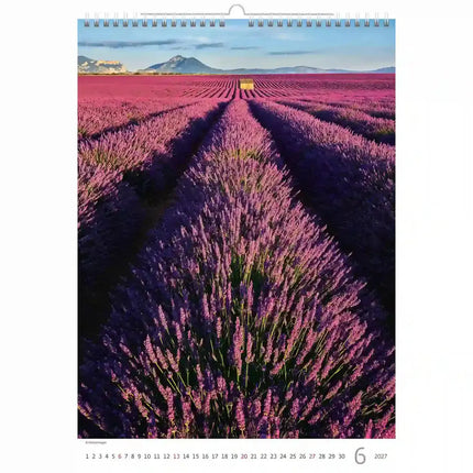 Helma Provence Kalender 2027