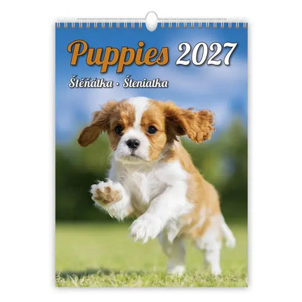 Helma Puppies Kalender 2027