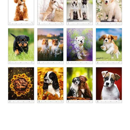 Helma Puppies Kalender 2027