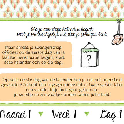 Inter-Stat 9 Maanden Aftelkalender By Pauline