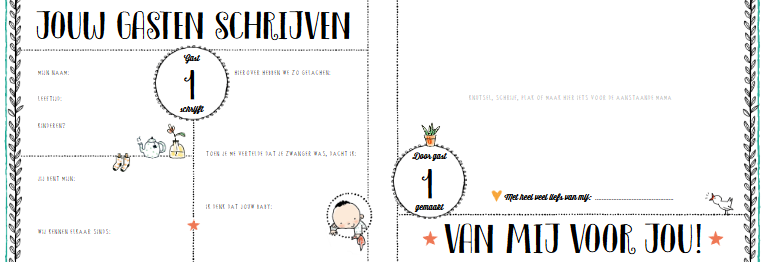 Inter-Stat Babyshower Boek By Pauline