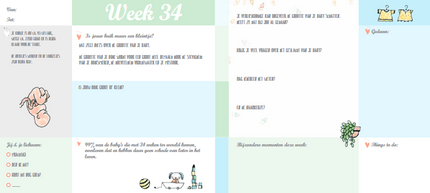 Inter-Stat Mijn 9 Maanden Memorybook By Pauline