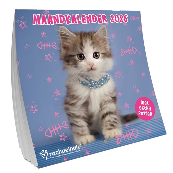Inter-Stat Rachael Hale Katten Kalender 2026