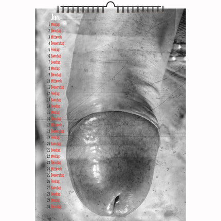 Jens Nice Guys and Cocks Kalender 2026