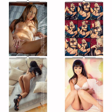 Jens Pornstars Kalender 2026 A3