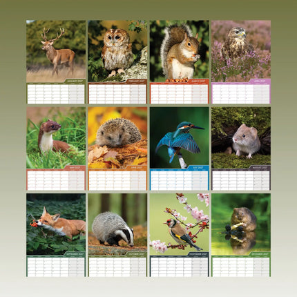 kalenderwinkel British Wildlife A3 Kalender 2027