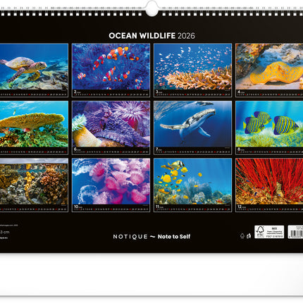 kalenderwinkel Ocean Wildlife Groot Kalender 2026
