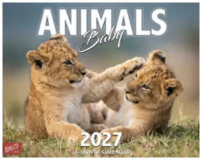 KingCompany Baby Animals Kalender 2027