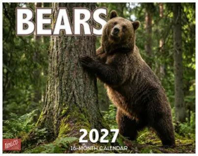 KingCompany Bear Kalender 2027