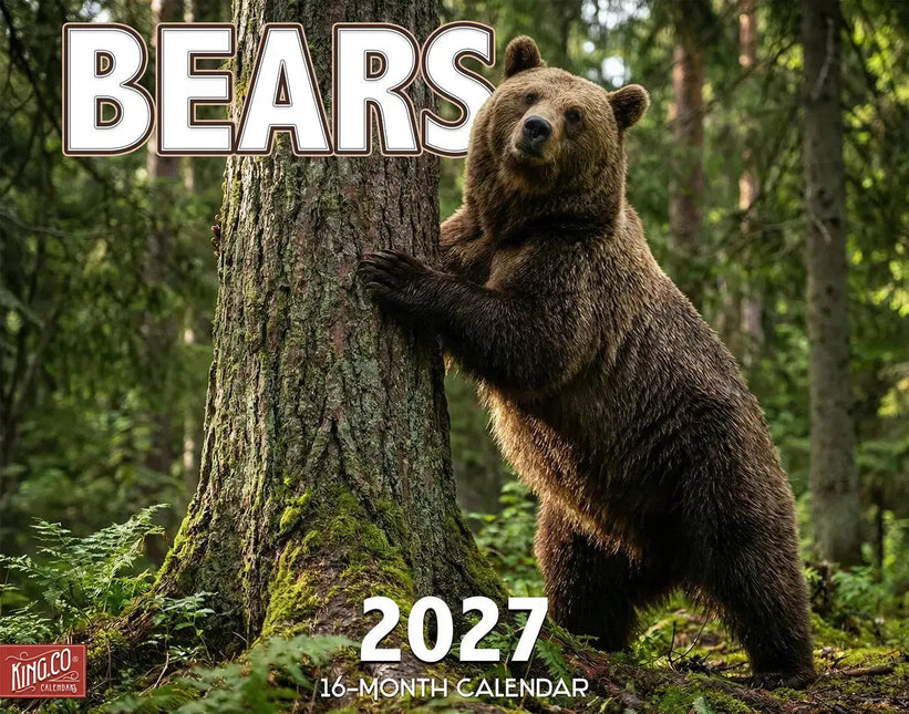 KingCompany Bear Kalender 2027