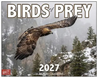 KingCompany Birds of Prey Kalender 2027