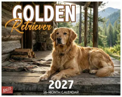 KingCompany Blonde Labrador Retriever Kalender 2027