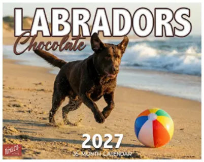 KingCompany Bruine Labrador Retriever Kalender 2027