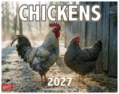 KingCompany Chickens Kalender 2027