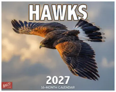 KingCompany Hawks/ Havik Kalender 2027