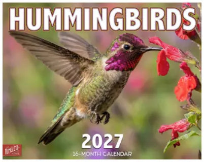 KingCompany Hummingbirds Kalender 2027