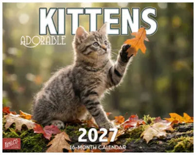 KingCompany Schattige Kittens Kalender 2027