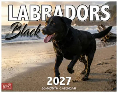 KingCompany Zwarte Labrador Kalender 2027