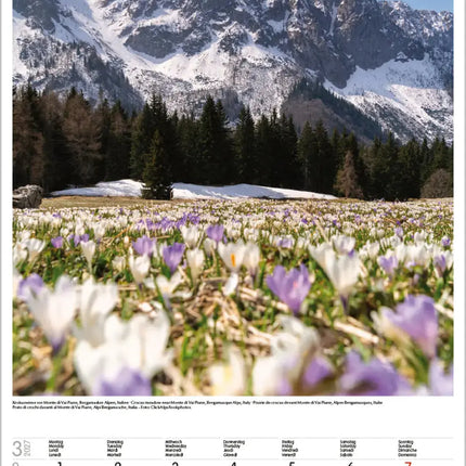 Korsch Verlag Alpen Kalender 2027 Groot