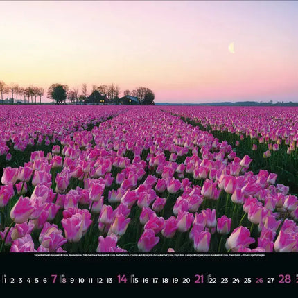 Korsch Verlag Colourful Seasons Kalender 2027