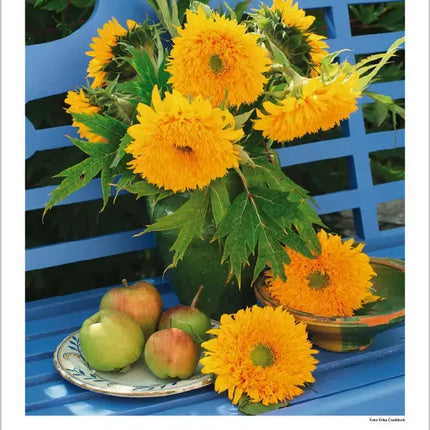 Korsch Verlag Droombloemen Kalender 2026