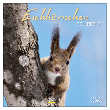 Korsch Verlag Eekhoorn Kalender 2026