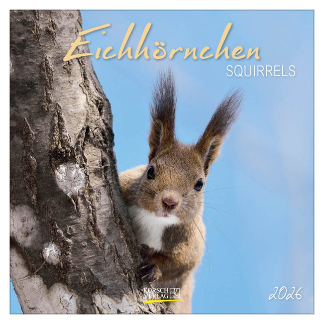 Korsch Verlag Eekhoorn Kalender 2026