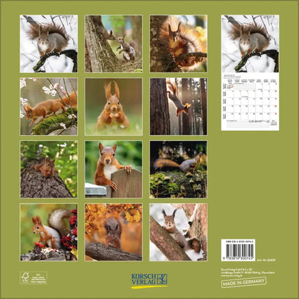 Korsch Verlag Eekhoorn Kalender 2027