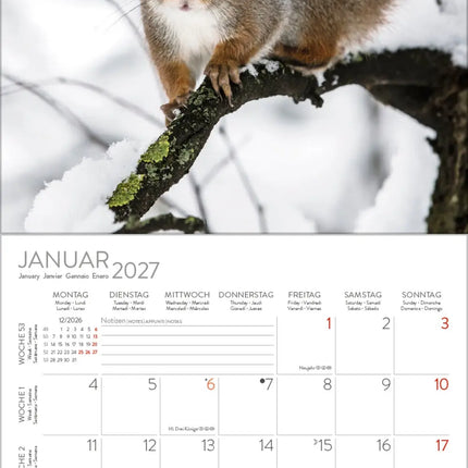 Korsch Verlag Eekhoorn Kalender 2027