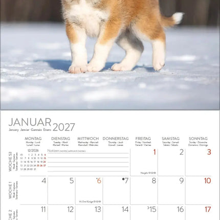 Korsch Verlag Honden Kalender 2027