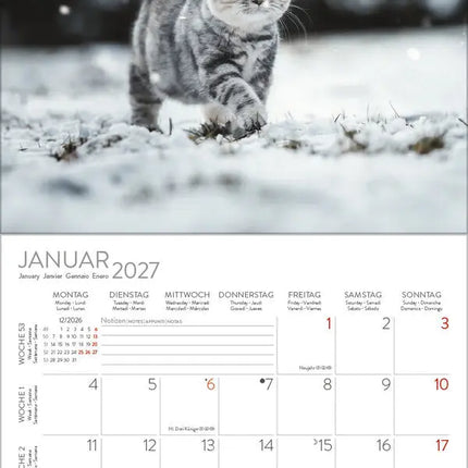 Korsch Verlag Katten Kalender 2027