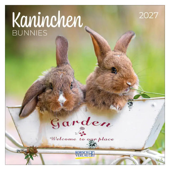 Korsch Verlag Konijnen Kalender 2027