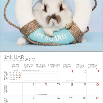 Korsch Verlag Konijnen Kalender 2027