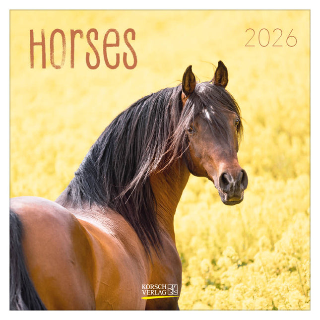 Korsch Verlag Paarden Kalender 2026