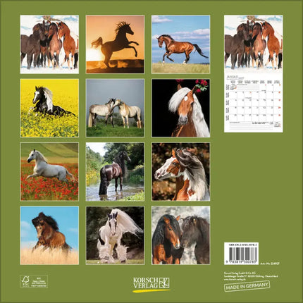 Korsch Verlag Paarden Kalender 2027