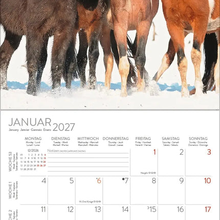 Korsch Verlag Paarden Kalender 2027