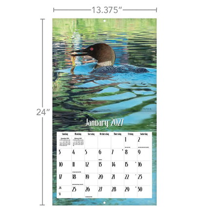 LANG Loons on the Lake Kalender 2027