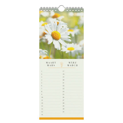 Lannoo Flower Field Verjaardagskalender