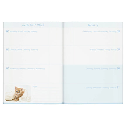 Lannoo Katten Desk Agenda 2027