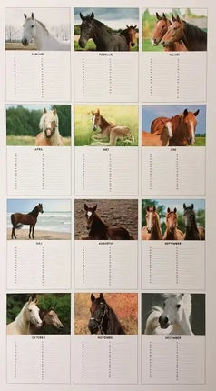 Lannoo Paarden Verjaardagskalender