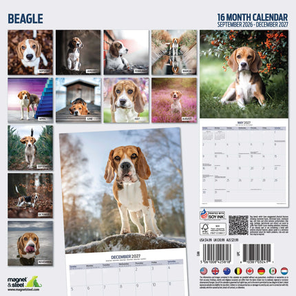 Magnet & Steel Beagle Kalender 2026