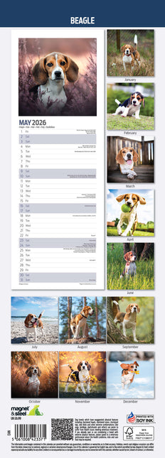 Magnet & Steel Beagle Kalender 2026 Slimline