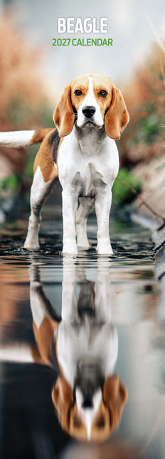 Magnet & Steel Beagle Kalender 2026 Slimline