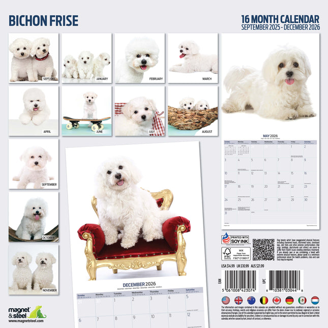 Magnet & Steel Bichon Frise Kalender 2026 Modern