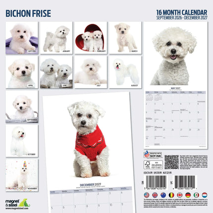 Magnet & Steel Bichon Frise Kalender 2027 Modern