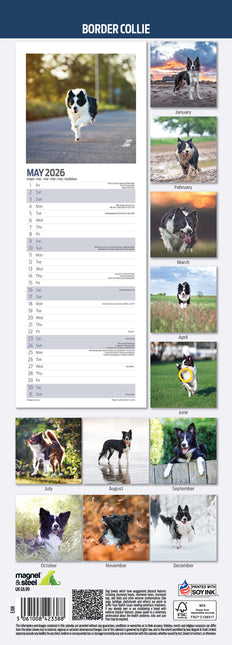 Magnet & Steel Border Collie Kalender 2026 Slimline