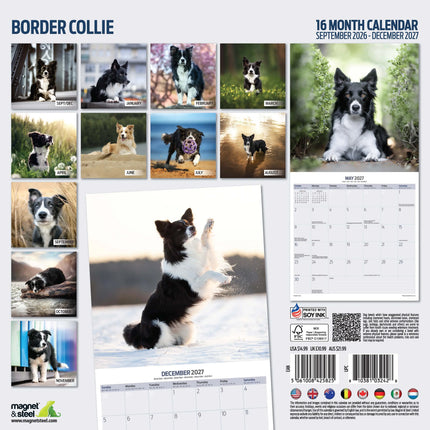 Magnet & Steel Border Collie Kalender 2027