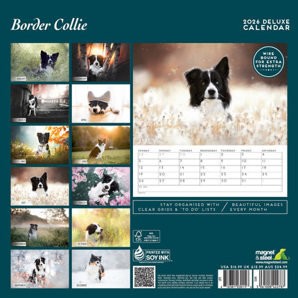 Magnet & Steel Border Collie Kalender 2027 Deluxe