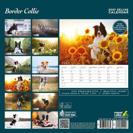 Magnet & Steel Border Collie Kalender 2027 Deluxe