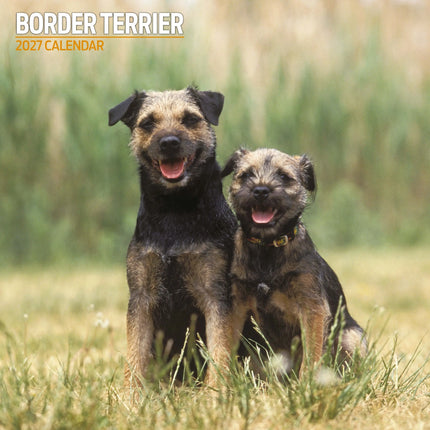 Magnet & Steel Border Terrier Kalender 2027